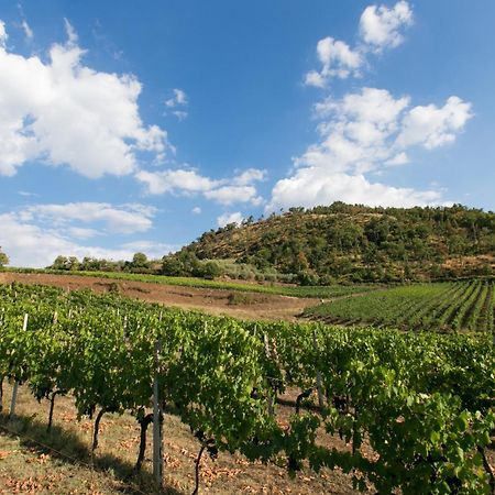 Villa Rosano Greve in Chianti Exterior photo